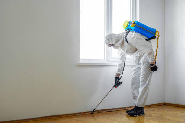 Reliable Hubbard, OR Pest Control Solutions